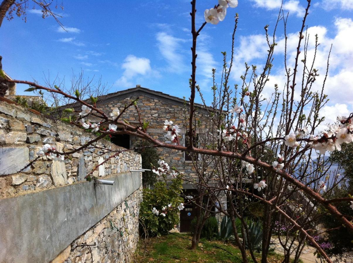 Pyrgos Traditional Village Ágios Kírykos 外观 照片