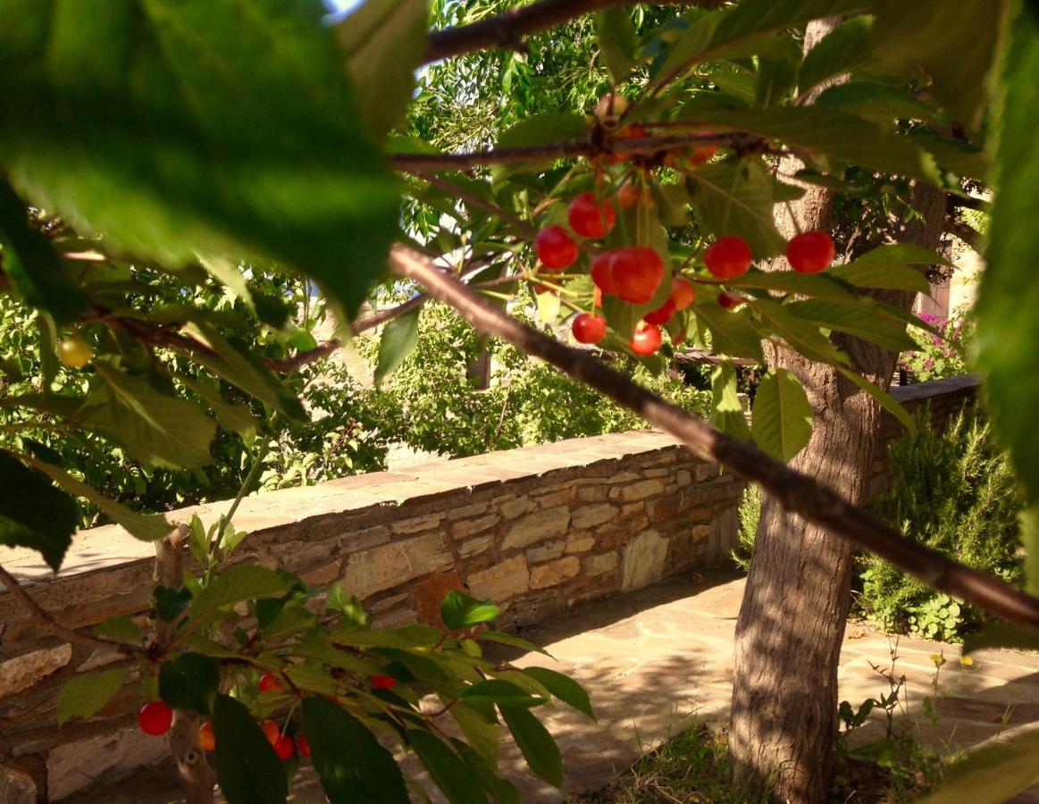 Pyrgos Traditional Village Ágios Kírykos 外观 照片